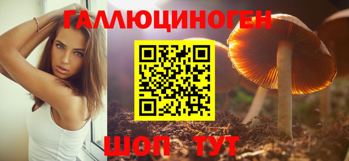 Самара  Псилоцибиновые грибы мухоморы  Вход с VPN 